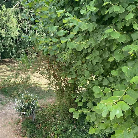 Le Clos 1003 4* Saint-Didier-sur-Chalaronne