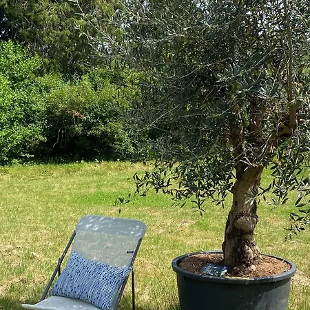 Affittacamere Le Clos 1003 Saint-Didier-sur-Chalaronne